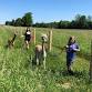 Alpaca Walk event image