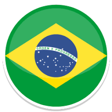 You will then receive an email with further instructions. Brazil Icon Round World Flags Iconset Custom Icon Design