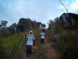 We did not find results for: Broga Hill Rabbit Fun