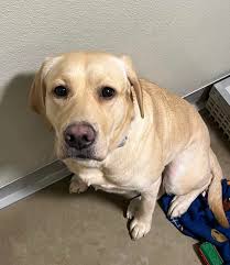 Person Trapped in Grain Bin in Syracuse