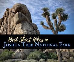 Best Hikes In Joshua Tree National Park On A 1 Day Trip Joshua Tree National Park Best Hikes 1 Day Trip