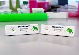 The ministry of health (moh), singapore, currently only accepts pcr tests. Toward Covid 19 Testing Any Time Anywhere The Scientist Magazine