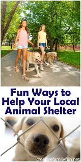 Fun Ways To Help Your Local Animal Shelter Creative Family Fun Animal Shelter Animal Shelter Volunteer Animal Shelter Quotes