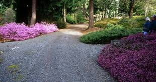 Rhody Bonsai Gardens Federal Way Weyerhaeuser Botanical Gardens Bonsai Garden Garden