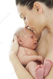 Mother Holding Newborn Baby Boy - Stock Image - F012/8925 - Science Photo  Library