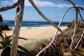 See tripadvisor's 683,782 traveler reviews and photos of porto tourist attractions. Am Strand Vom Columbus Porto Santo Bru S Guide For Modern Gents