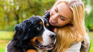 Maybe you would like to learn more about one of these? Veterinarians In Elmira Ny Vca Broadway Animal Hospital