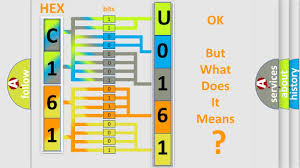 Image result for %u0161estio%u010Dka ry%u0161av 