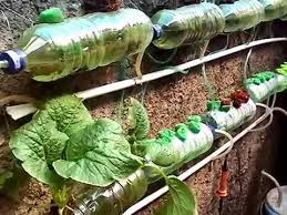 Hidroponik Dari Botol Plastik Bekas 2 Youtube Hidroponik Menanam Sayuran Ide Berkebun