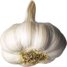 We did not find results for: Growing Garlic In Melbourne Local Food Connect
