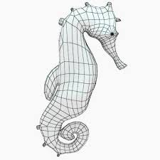 The 3d Model Of A Hippocampus Genus Seahorse 3d Illusion Art Animal Art Art
