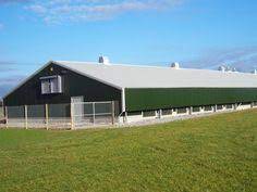 Buildings 4322 castles 24 medieval castles 20 churches 77. 16 Poultry Farm Ideas In 2021 Poultry Farm Poultry Poultry House