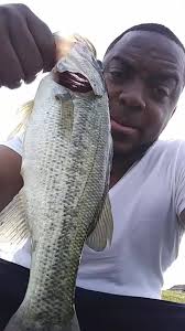 Bill Murray spittin' the hook to ODB “Got Your Money” hath senteth us! 😂🙌  🎥: @thehappyhourwhb