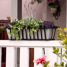 Flower boxes are sometimes called balcony flowers as they adorn almost every balcony in the region. Window Boxes Baskets Flower Boxes Planters Windowbox Com