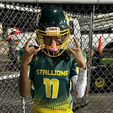 Evergreen Park Stallions