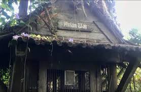Between 1974 and 1999, it was an attraction open to guests, who could observe its many species of animals and birds. Abandoned Disney S Discovery Island New Footage Amusementinsider The Front Page Of Theme Parks