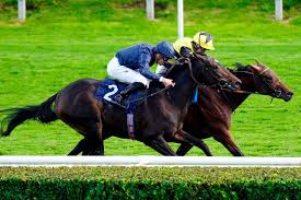 Jameliz porn videos not long ago, I enjoyed spending time