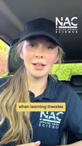 Learning Theory Explained! A bit of a longer one today, exploring the 4  quadrants of learning theory, the nuances, and how they work to shape  behaviour.