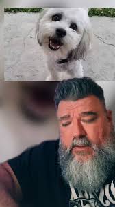 @TizzyEnt's video Tweet