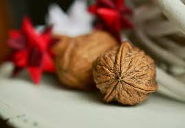 Find the best free stock images about fruit bowl. Walnuts Nut Unusual Fruit Free Photo On Pixabay