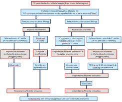 Volevo sapere se c'è differenza tra epatite cronica autoimmune agressiva, e epatite autoimmune. La Piastrinopenia Immune Itp Ematologia In Progress