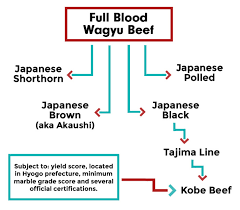 what is wagyu beef a complete guide jess pryles