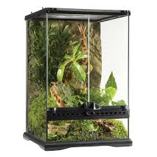 Pin By E M I L Y On Frogs Reptile Terrarium Terrarium Rainforest Habitat