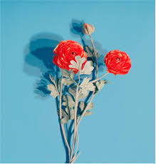 Light Blue And Red Blue Honeymoonaesthetic Light Red In 2020 Colorful Backgrounds Flower Images Flower Arrangements Wedding Diy