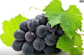 Fruit Of Paradise Rejuvenate Your Spirit And Soul While Your Stay In The Maldives Diving Is A Superb Way To Explore The Serene Of Grapes Fruit Fruits Photos