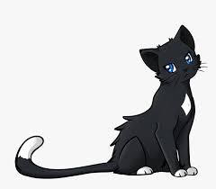 Exklusive angebote aus der cartoon® kollektion jetzt bei mybestbrands! Kitten Clipart Anime Cat Black And White Cat Anime Hd Png Download Transparent Png Image Pngitem