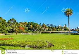 Blacktown, sutherland, wollongong, city of lake macquarie, fairfield, city of bankstown, penrith. Koninklijke Botanische Tuin Van Sydney Australie Nieuw Zuid Wales Stock Foto Image Of Zaken Botanisch 84186336