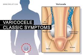 Pin On General Health