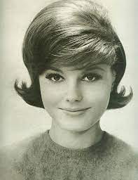 Belles Coiffures Des Annees 60 Que Vous Pouvez Rendre Facile Etape Par Etape Annees Belles Coiff Coiffure Annee 60 Cheveux Des Annees 1960 Belle Coiffure
