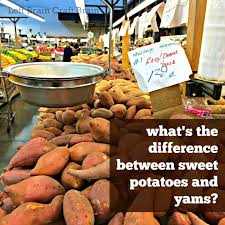Public health nutritionist lesieli ta'oi shows how to make healthy, delicious and nutritious sweet potato & tuna patties served with fresh garden salad. What S The Difference Between Sweet Potatoes And Yams Left Brain Craft Brain