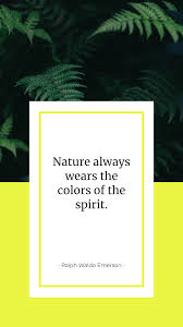 Maybe you would like to learn more about one of these? Top Insta Story Apps Story Quotes Bundle