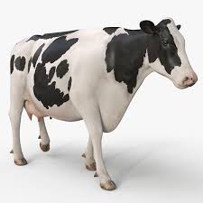 Cow Pro Holstein 3d Model In 2020 Holstein Cow Animation