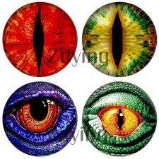 Wild eyes close up art crazy eyes animals reptile eye eye photography eye close up snake eyes animal close up. Zdying 10pcs Lot Animal Dragon Cat Snake Eyes Round Glass Cabochon Photo Dome Beads Demo Flat Back Making Jewelry Findings Jewelry Findings Components Aliexpress