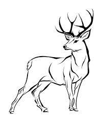 Reindeer Line Drawing Google Search Deer Drawing Giraffe Drawing Deer Art
