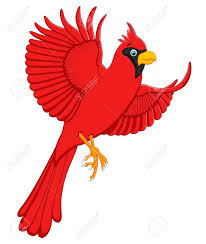Cartoon baby cardinal wood sign. Flying Cardinal Cartoon Royalty Free Cliparts Vectors And Stock Illustration Image 56383367