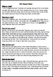 Ks1 How To Writing A Non Chronological Report Writing Non Chronological Reports Ks1 Exa Non Chronological Reports Non Chronological Reports Ks2 Report Writing