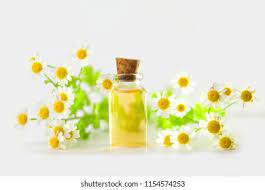 Caspia Flower Essence Best Flower Wallpaper