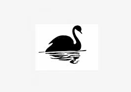 Calm Mystic Black Swan With Its Reflection In Water Black Swan Animal Cartoon Free Transparent Png Download Pngkey Origami swan out of many modules. calm mystic black swan with its