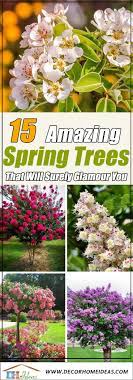 Names of flowering trees in the spring. 15 Amazing Flowering Spring Trees For Your Landscape Decor Home Ideas