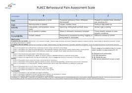 Image result for FLACC Scale