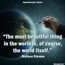 Use your heart to see the best and most beautiful things in your life. The Most Beautiful Thing In The World Is Of Course The World Itself Wallace Stevens Goedemorgen Quote Wallace Stevens Words Quotes Quotations