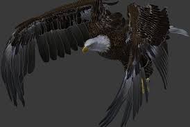 Bald Eagle On Cubebrush Co Bald Eagle Eagle Polygon