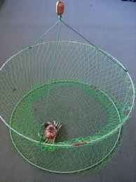 Just follow my easy directions and you will be able to catch them too! Crab Trap Dilly Crab Trap Blue Crab Trap Ocean Fishing