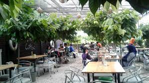 Selain itu kamu juga dapat memetik buah strawberry sendiri. Kuliner Nikmat Hemat Dan Bersahabat Di Kafe Kebun Coklat Semangkuk Sepatu