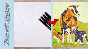 Beginnen wir mit der iris und der pupille. Zeichnen Lernen Markerkolorierung Ziege Malen Mit Touch Twin Layoutmarkern Facebook