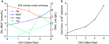 Mc3t3 (embryonic calvarium) rat tumor cell lines. Large Scale Microcarrier Culture Of Hek293t Cells And Vero Cells In Single Use Bioreactors Amb Express Full Text